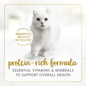 Purina Gravy Lovers Kitten Food, Wet Cat Food Collection, 3 oz Cans (24 Pack)